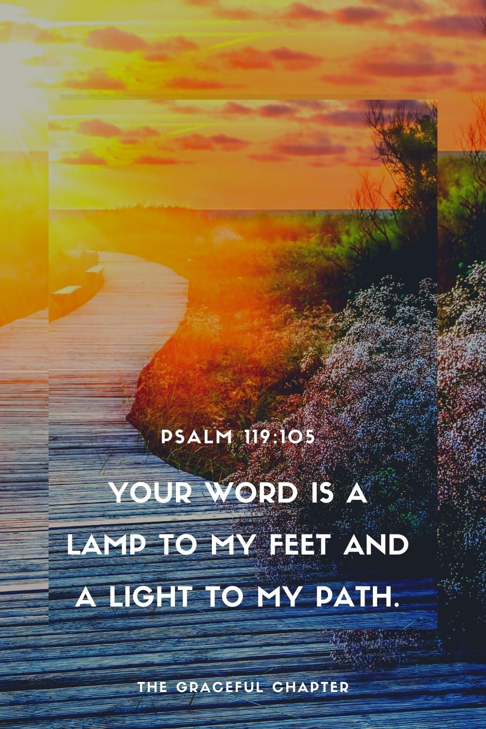 Your word is a lamp to my feet And a light to my path. Psalm 119:105