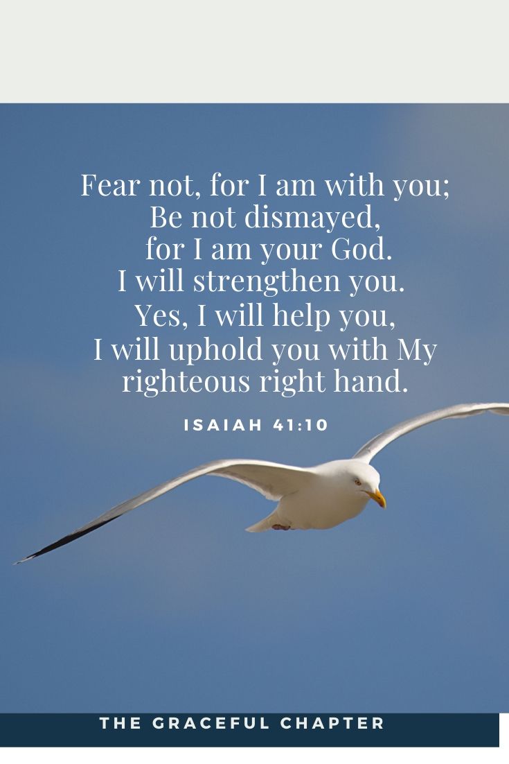 fear not