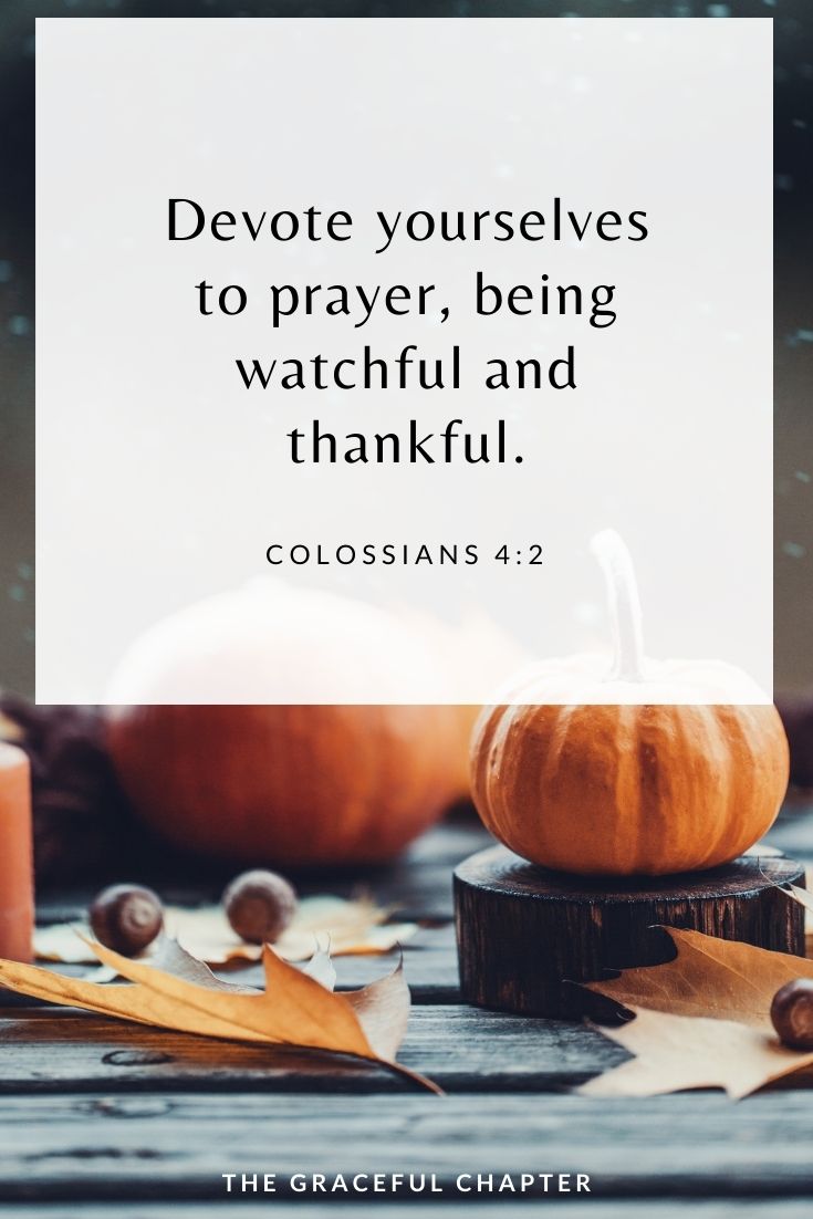 thanksgiving bible verse: Devote yourselves to prayer, being watchful and thankful. Colossians 4:2