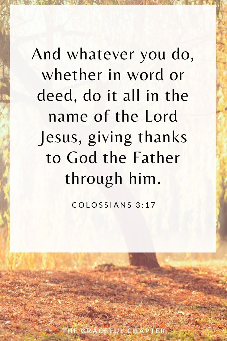 And whatever you do, whether in word or deed, do it all in the name of the Lord Jesus, giving thanks to God the Father through him.  Colossians 3:17