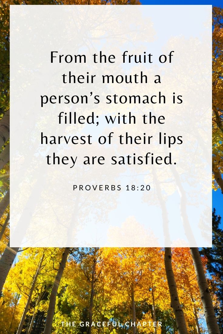 From the fruit of their mouth a person’s stomach is filled; with the harvest of their lips they are satisfied. Proverbs 18:20