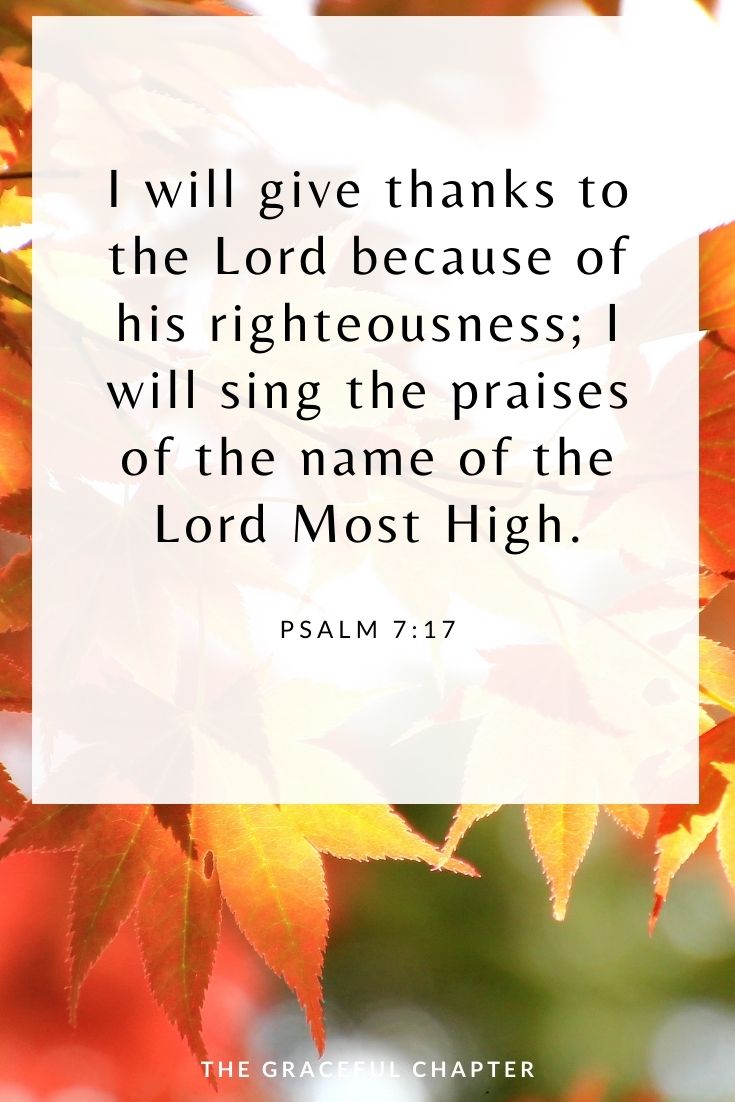 I will give thanks to the Lord because of his righteousness; I will sing the praises of the name of the Lord Most High. Psalm 7:17