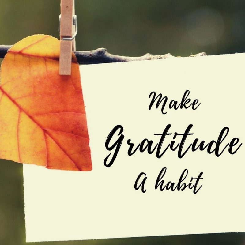 Make Gratitude A Habit – Free 30 Day Thanksgiving Bible Study Toolkit