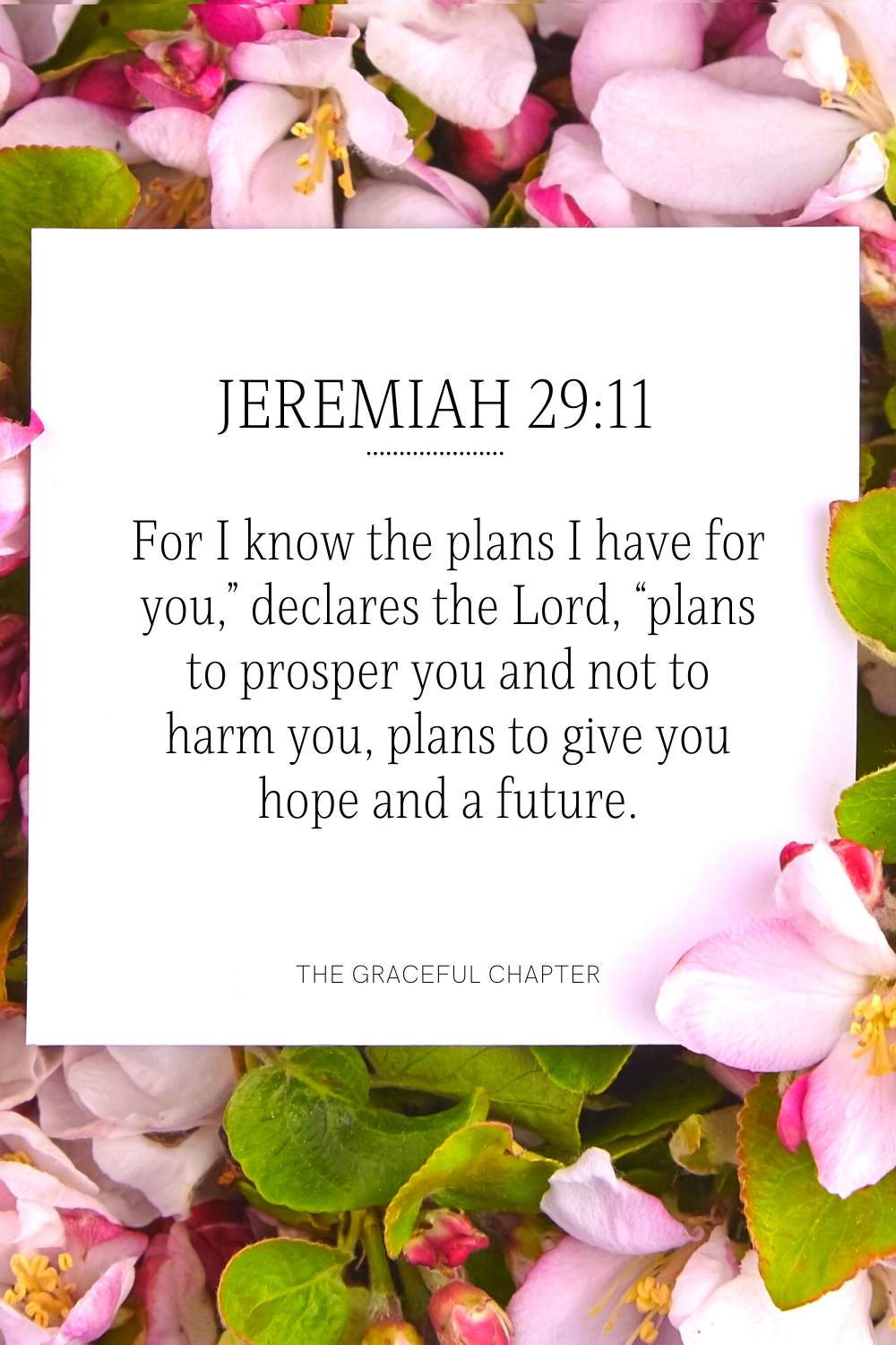 For I know the plans I have for you,” declares the Lord, “plans to prosper you and not to harm you, plans to give you hope and a future. Jeremiah 29:11
