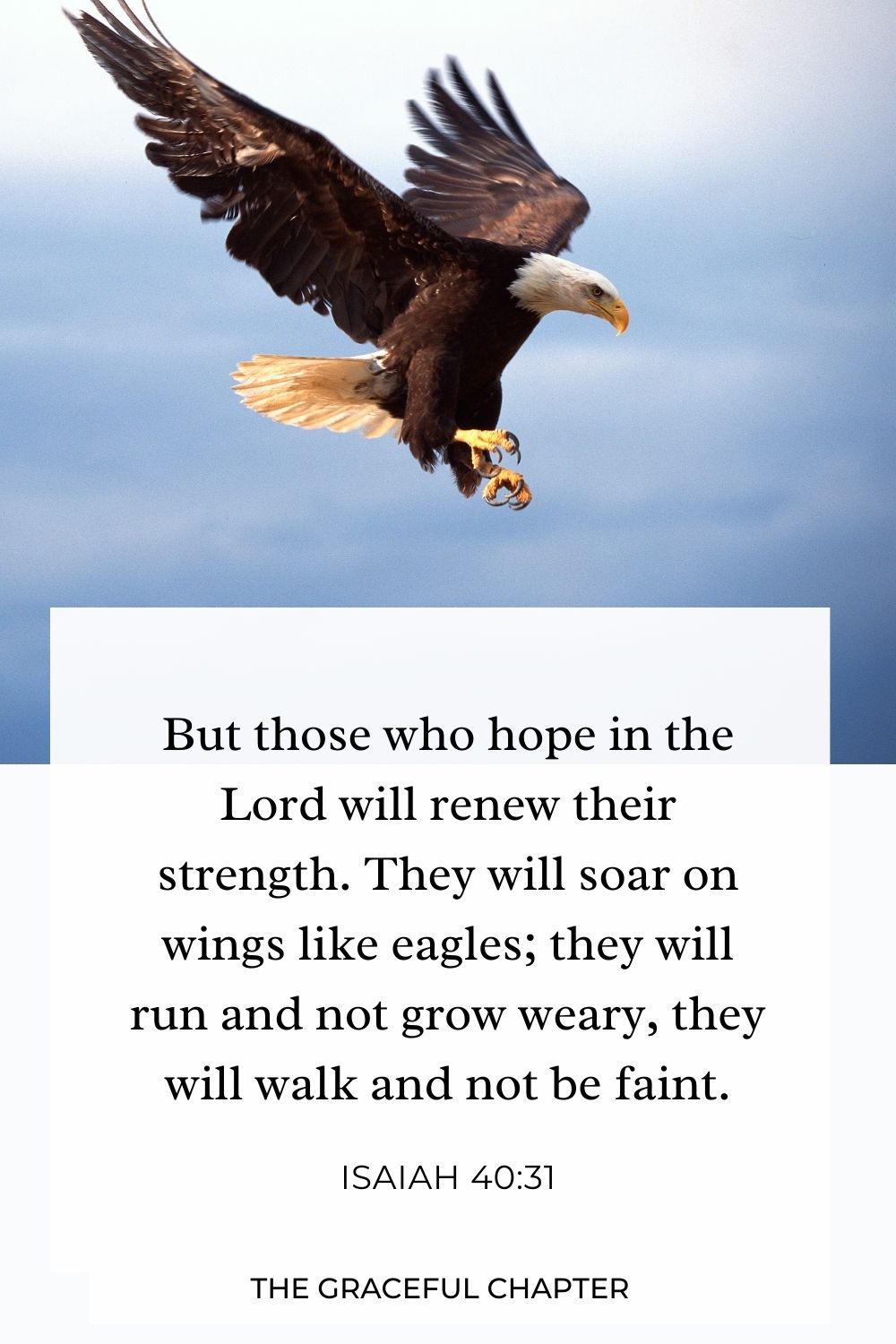 But those who hope in the Lord will renew their strength. They will soar on wings like eagles;  they will run and not grow weary,  they will walk and not be faint. Isaiah 40:31