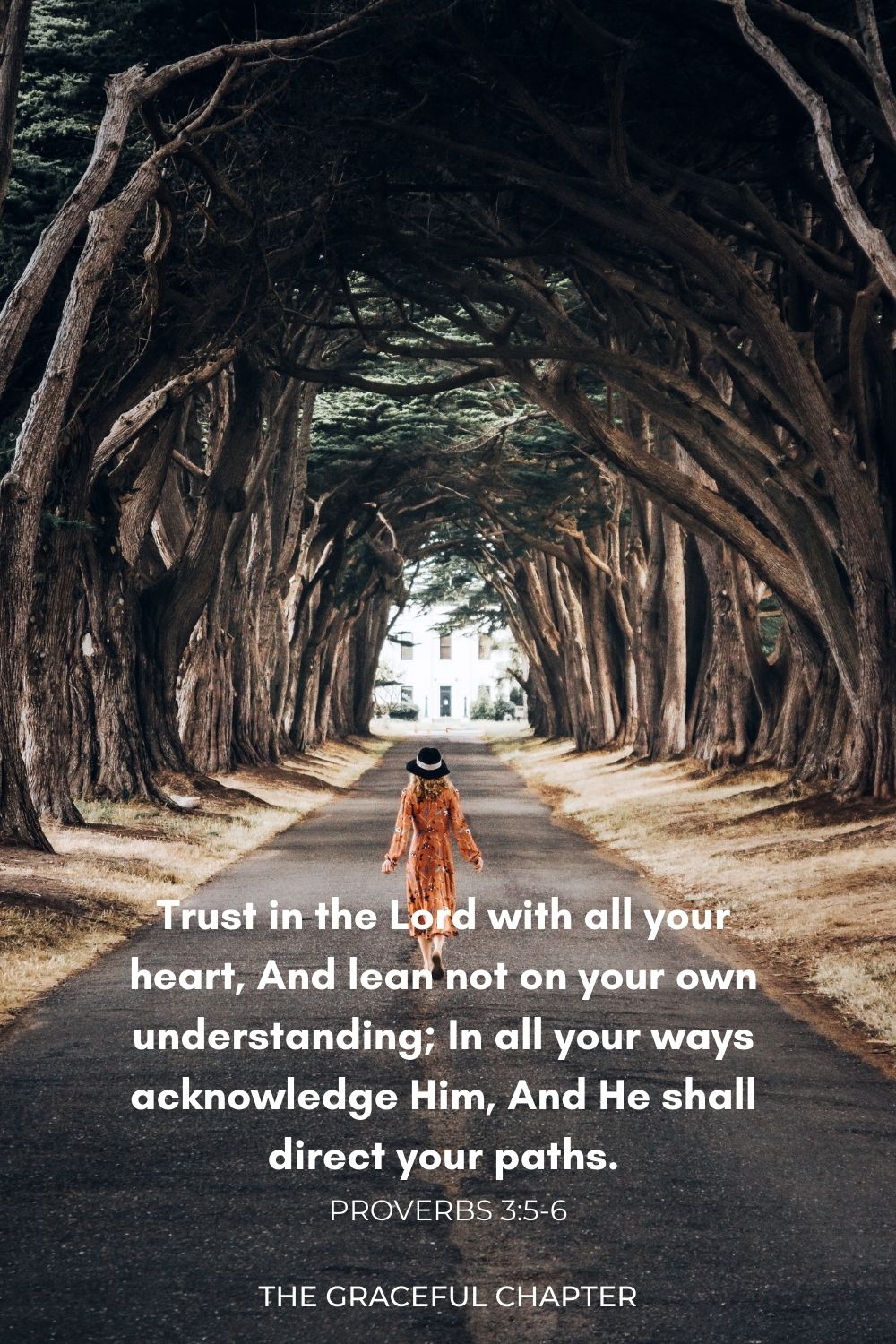 Trust in the Lord with all your heart,
And lean not on your own understanding;
 In all your ways acknowledge Him,
And He shall direct your paths. Proverbs 3:5-6