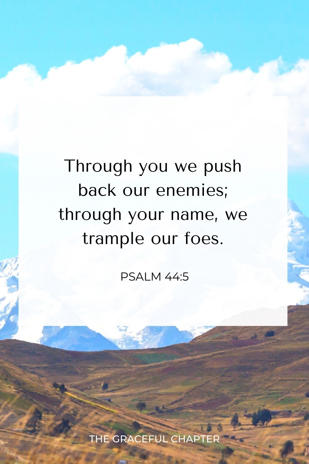 Through you we push back our enemies; through your name we trample our foes. Psalm 44:5