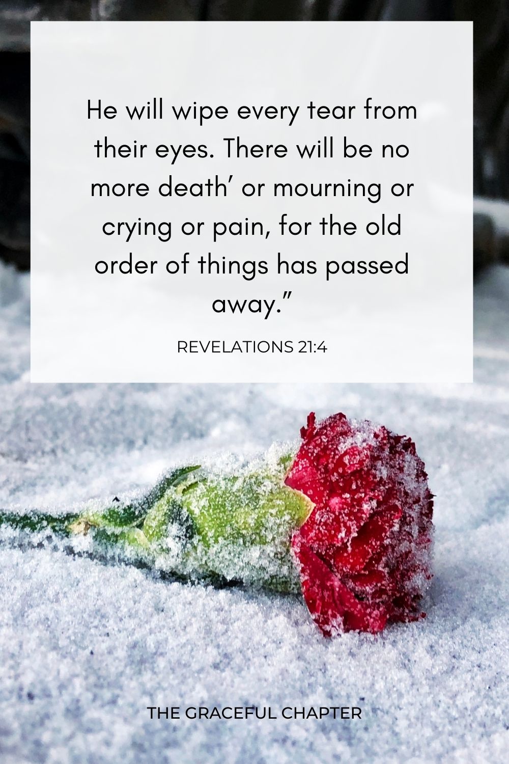 He will wipe every tear from their eyes. There will be no more death’ or mourning or crying or pain, for the old order of things has passed away.” Revelations 21:4