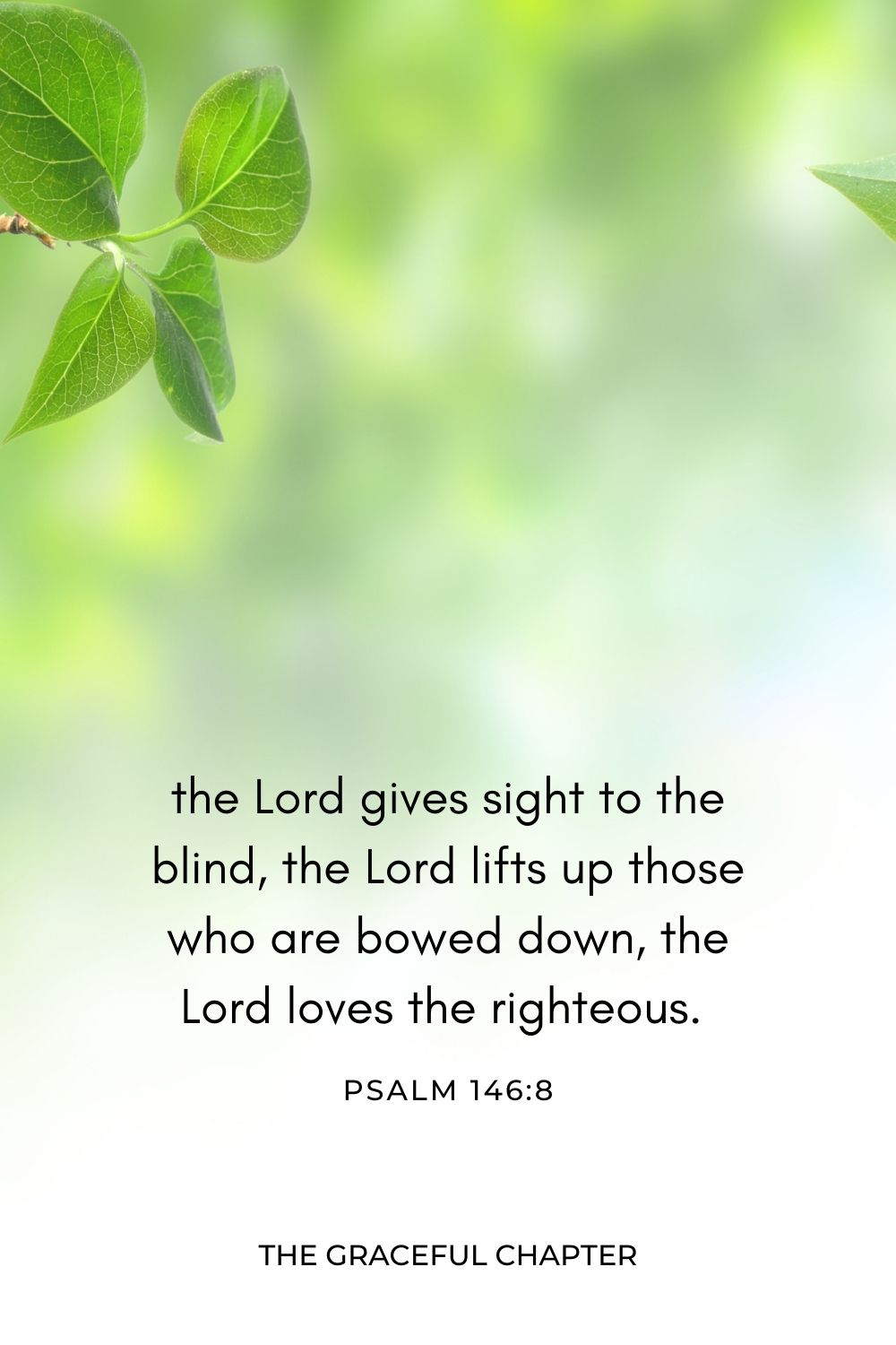 The Lord gives sight to the blind, the Lord lifts up those who are bowed down, the Lord loves the righteous. Psalm 146:8