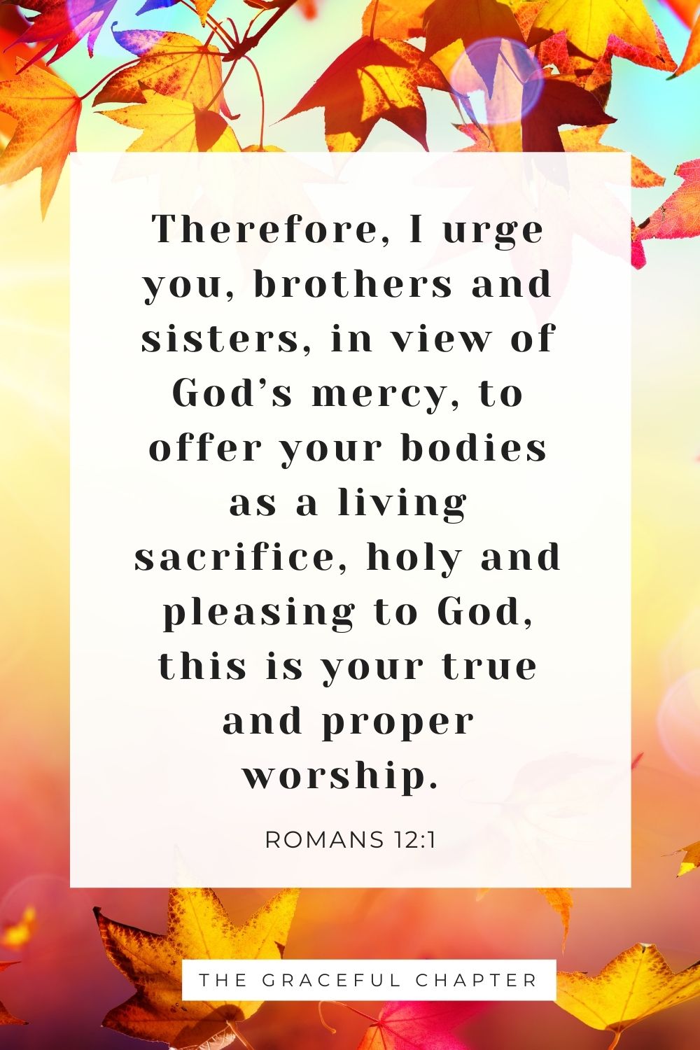 Therefore, I urge you, brothers and sisters, in view of God’s mercy, to offer your bodies as a living sacrifice, holy and pleasing to God, this is your true and proper worship. Romans 12:1