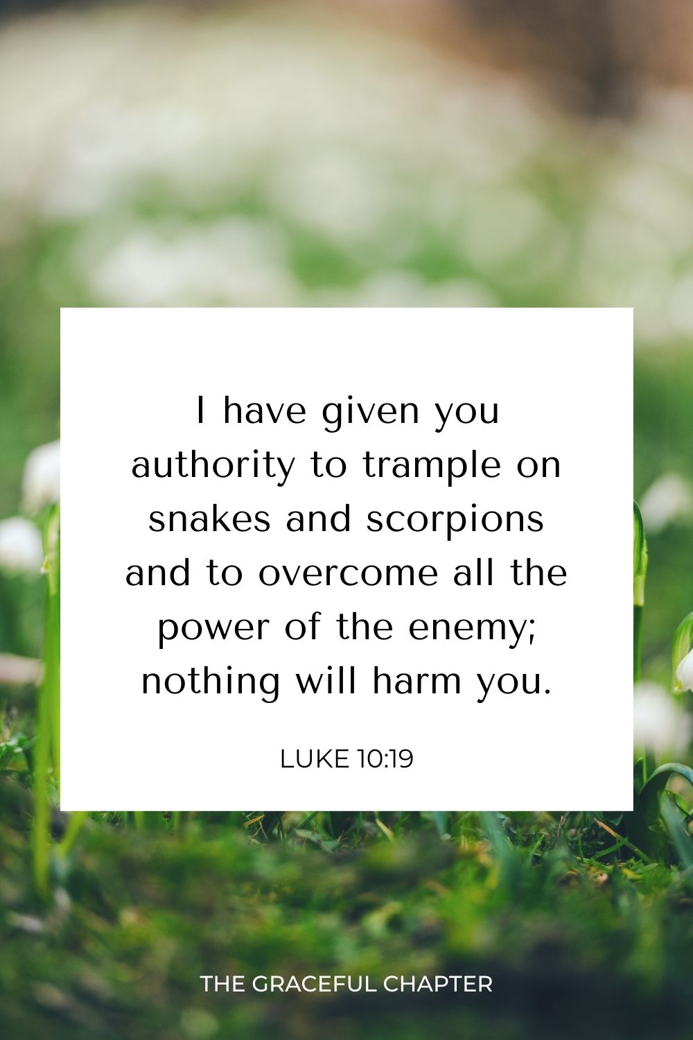 I have given you authority to trample on snakes and scorpions and to overcome all the power of the enemy; nothing will harm you. Luke 10:19