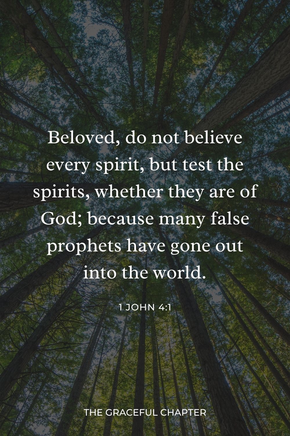 Beloved, do not believe every spirit, but test the spirits, whether they are of God; because many false prophets have gone out into the world. 1 John 4:1