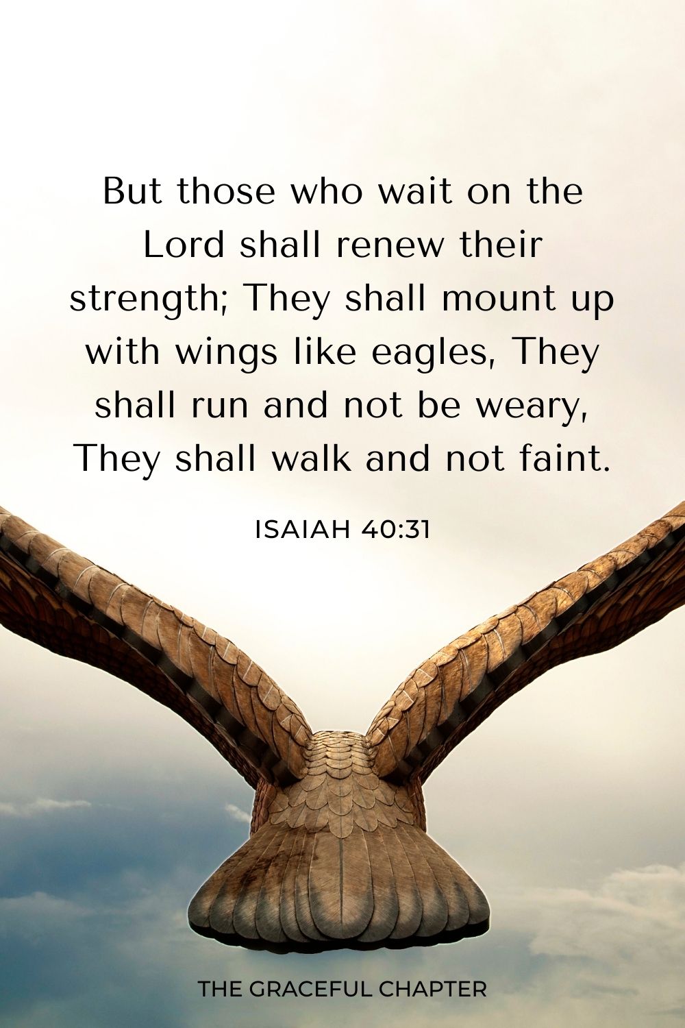 But those who wait on the Lord
Shall renew their strength;
They shall mount up with wings like eagles,
They shall run and not be weary,
They shall walk and not faint. Isaiah 40:31