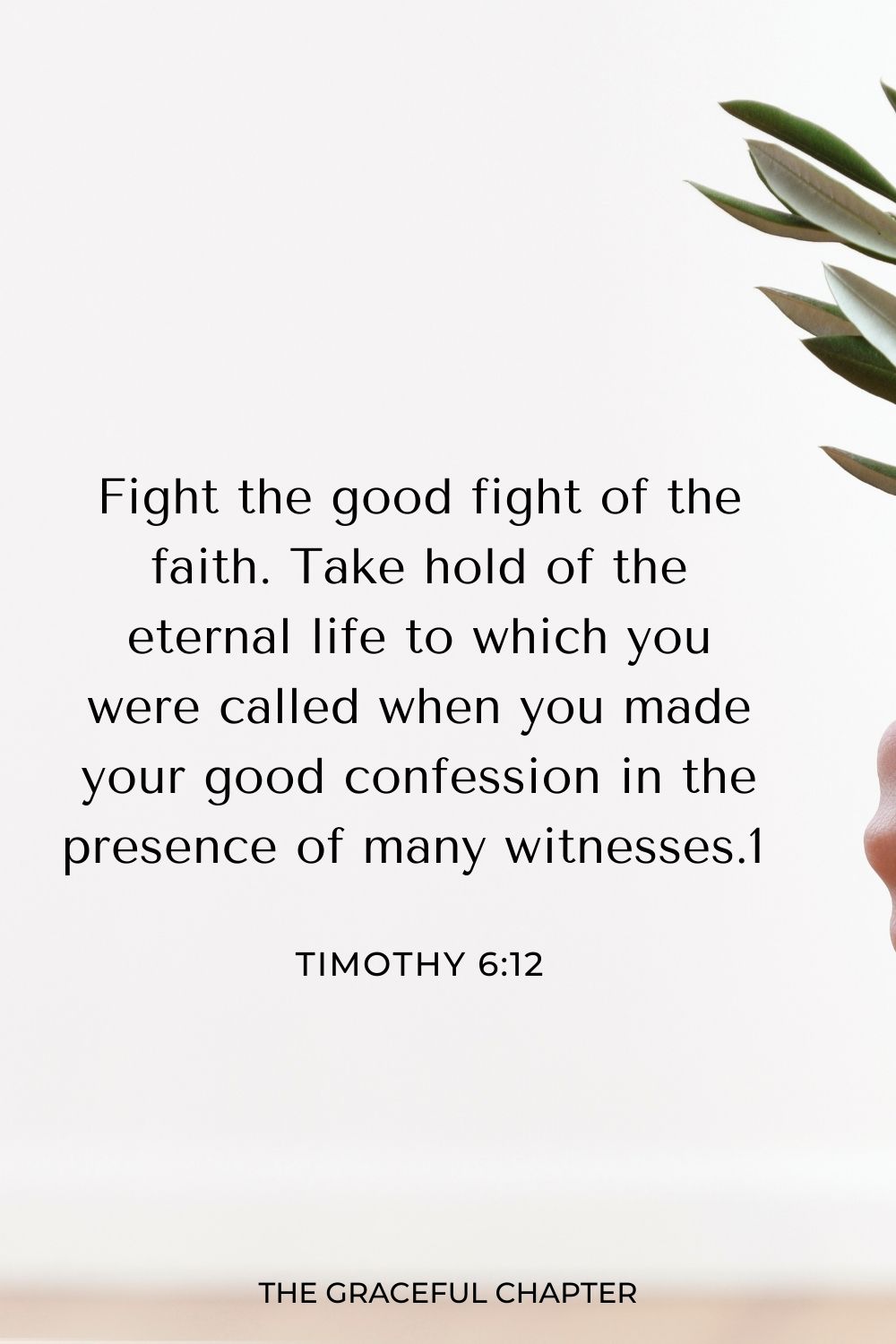 Fight the good fight of the faith. Take hold of the eternal life to which you were called when you made your good confession in the presence of many witnesses. 1 Timothy 6:12