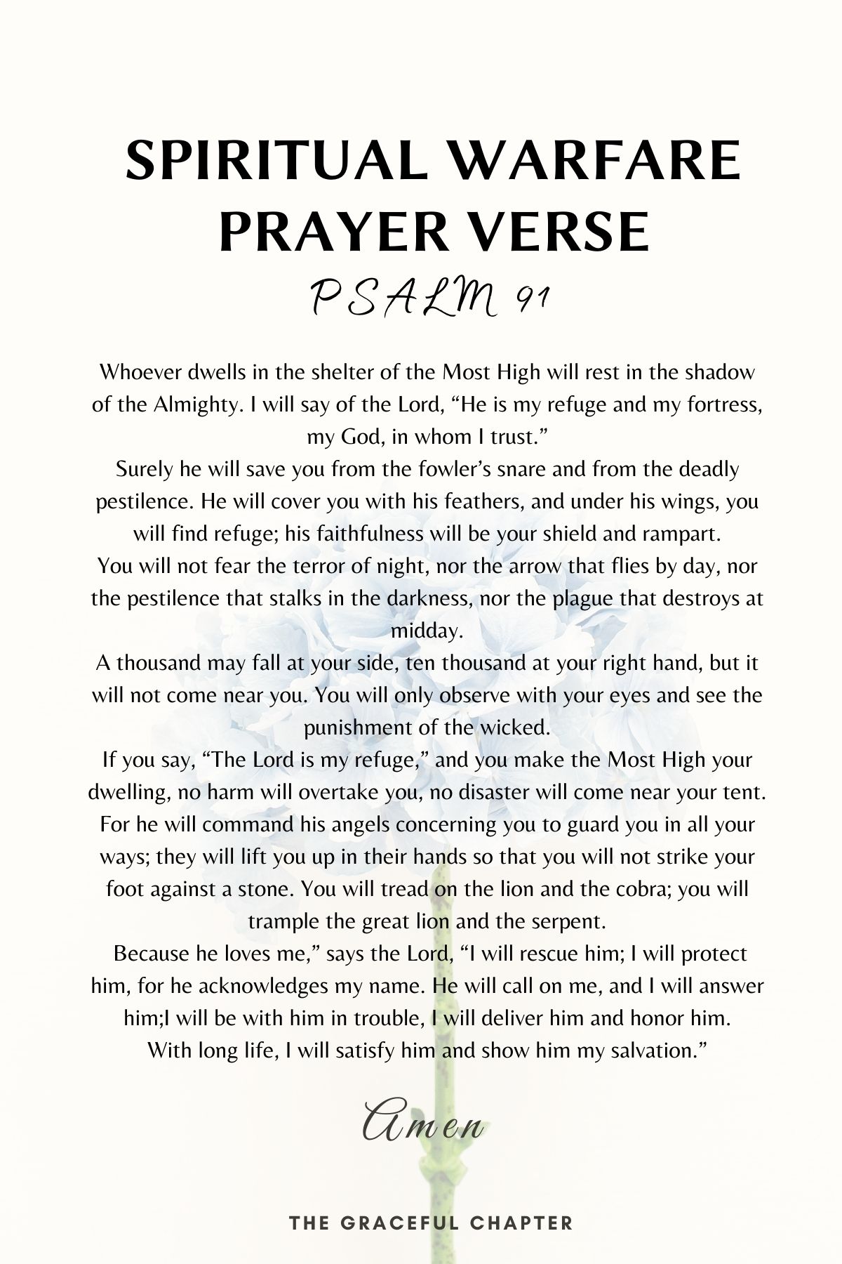 Psalm 91 spiritual warfare prayer verse