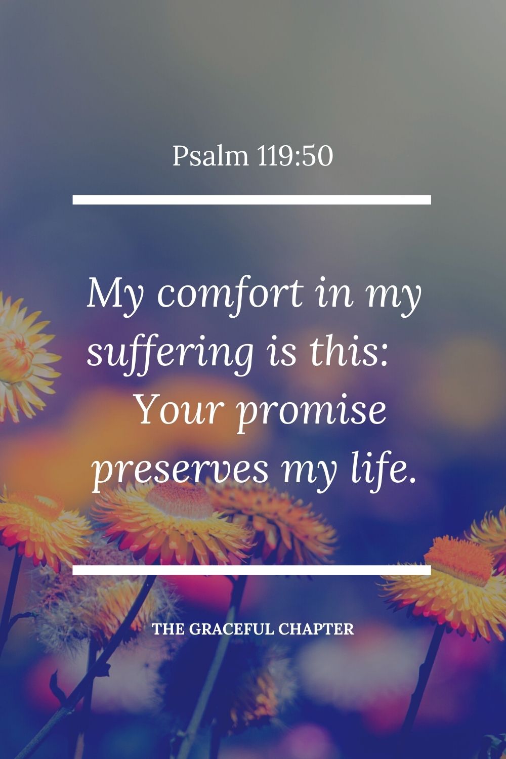 My comfort in my suffering is this: Your promise preserves my life. Psalm 119:50