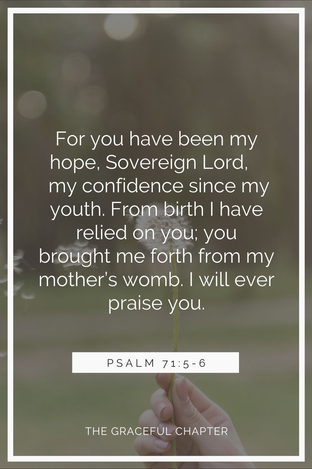 For you have been my hope, Sovereign Lord, my confidence since my youth. From birth I have relied on you; you brought me forth from my mother’s womb. I will ever praise you. Psalms 71:5-6