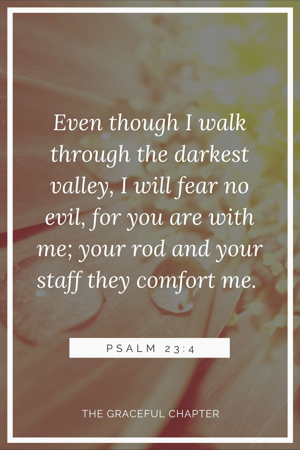 Even though I walk through the darkest valley, I will fear no evil, for you are with me; your rod and your staff, they comfort me. Psalm 23:4