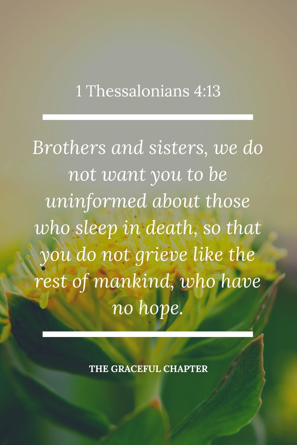 Brothers and sisters, we do not want you to be uninformed about those who sleep in death, so that you do not grieve like the rest of mankind, who have no hope.1 Thessalonians 4:13