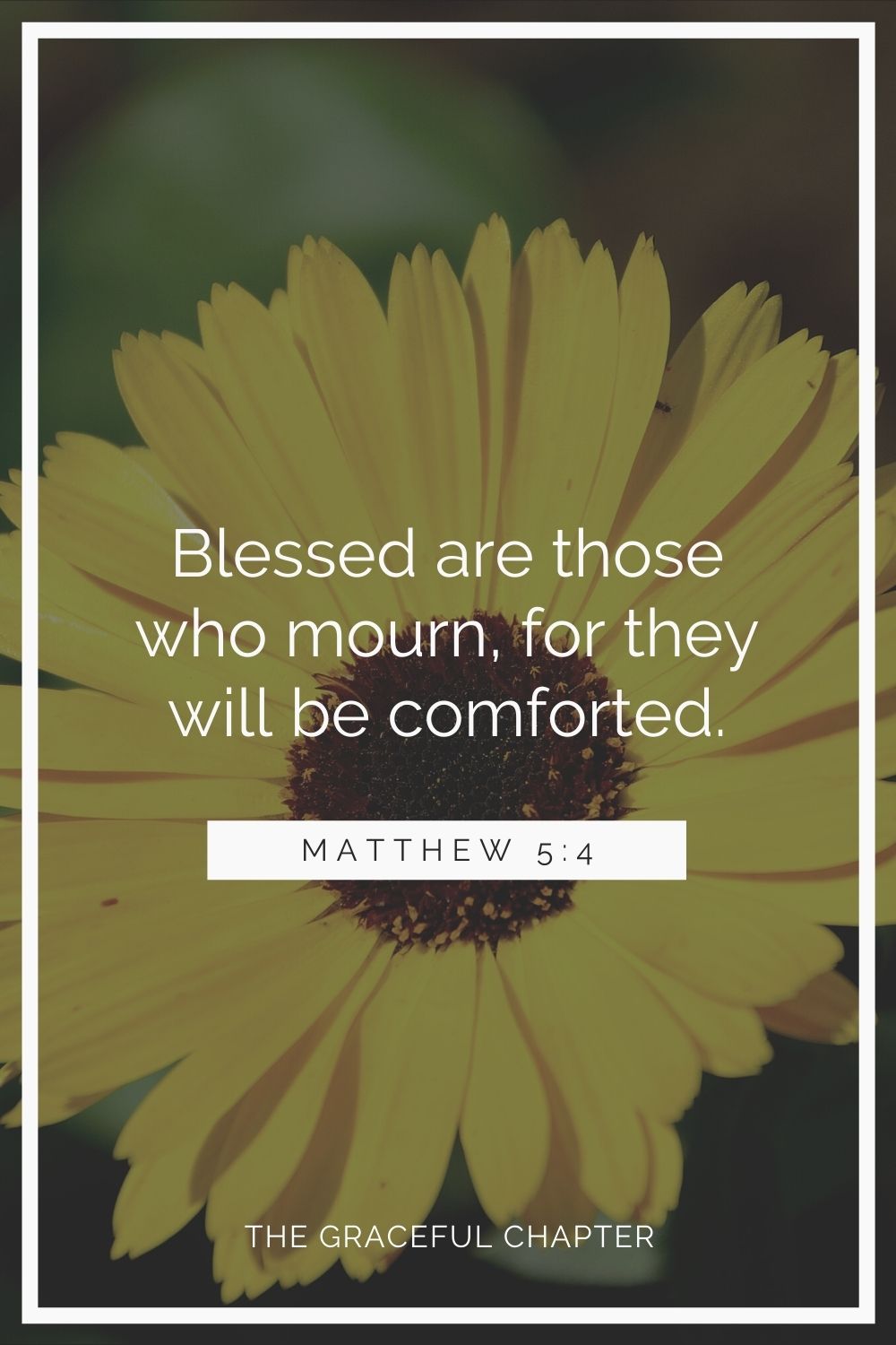 Blessed are those who mourn, for they will be comforted. Matthew 5:4