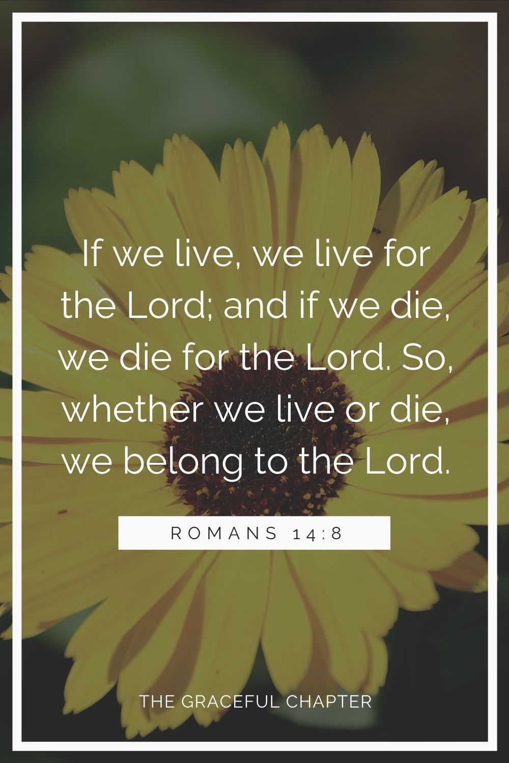 If we live, we live for the Lord; and if we die, we die for the Lord. So, whether we live or die, we belong to the Lord. Romans 14:8