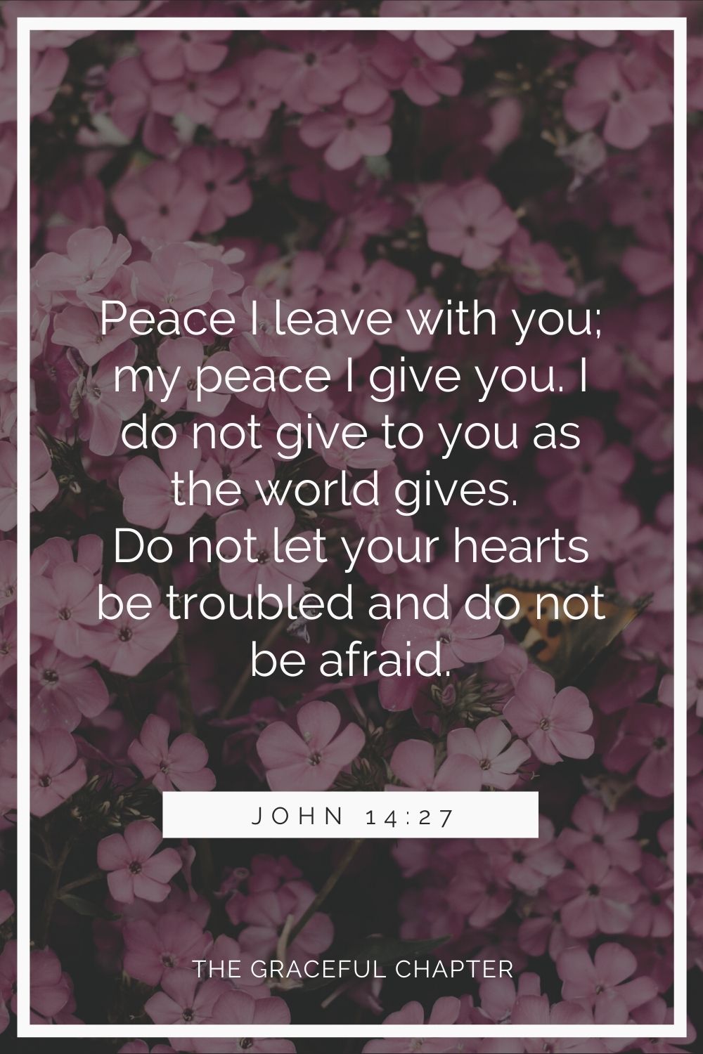 Peace I leave with you; my peace I give you. I do not give to you as the world gives. Do not let your hearts be troubled and do not be afraid. John 14:27