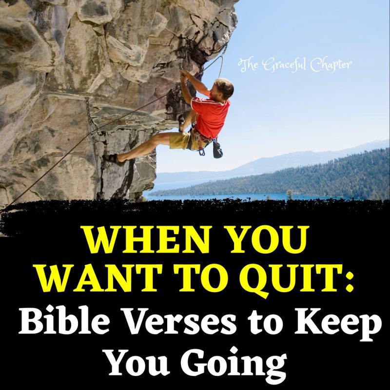 45 Bible Verses About Perseverance To Motivate You