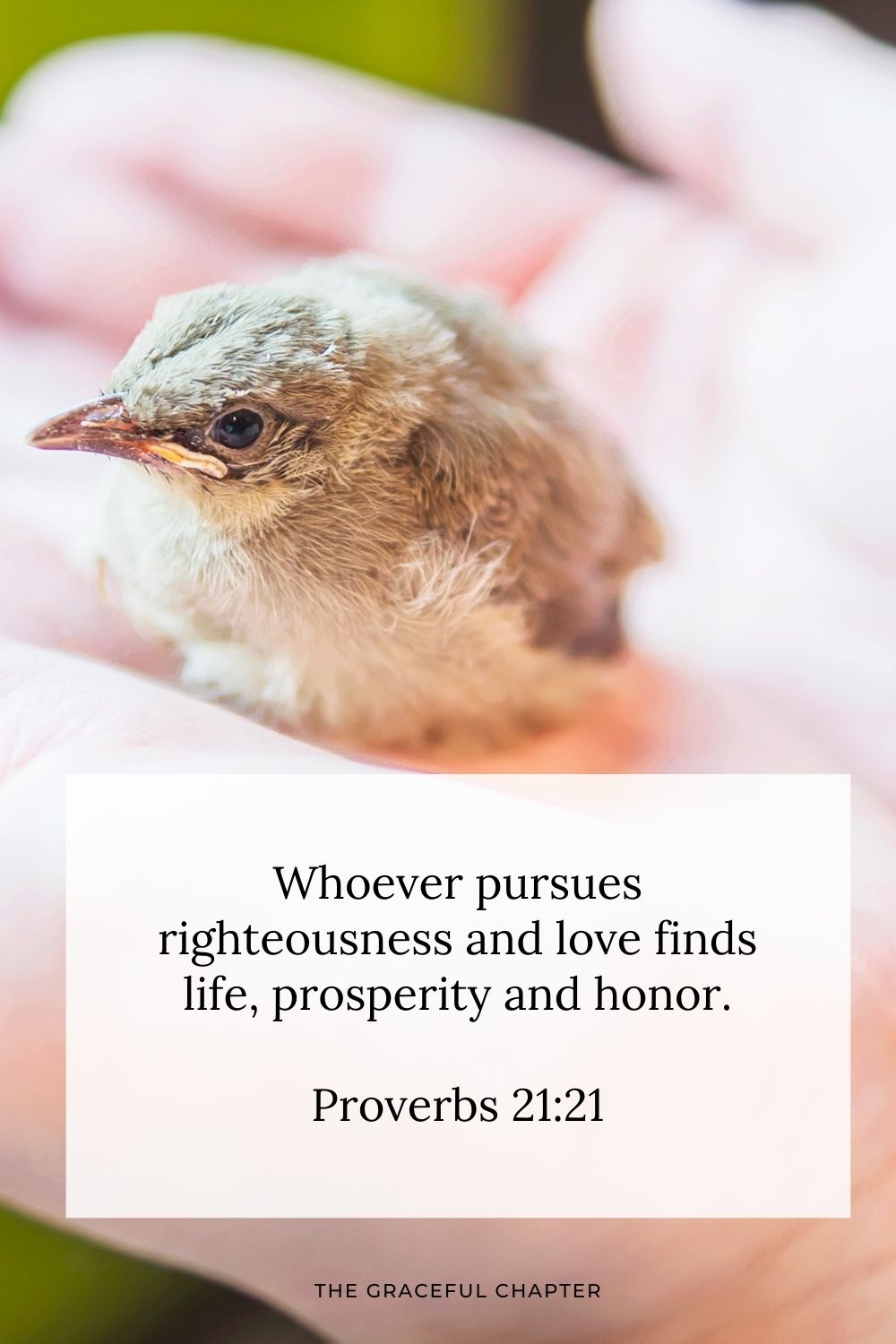 Whoever pursues righteousness and love finds life, prosperity and honor. Proverbs 21:21