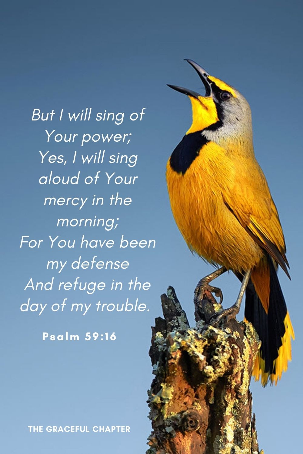 But I will sing of Your power; Yes, I will sing aloud of Your mercy in the morning; For You have been my defense And refuge in the day of my trouble.Psalm 59:16