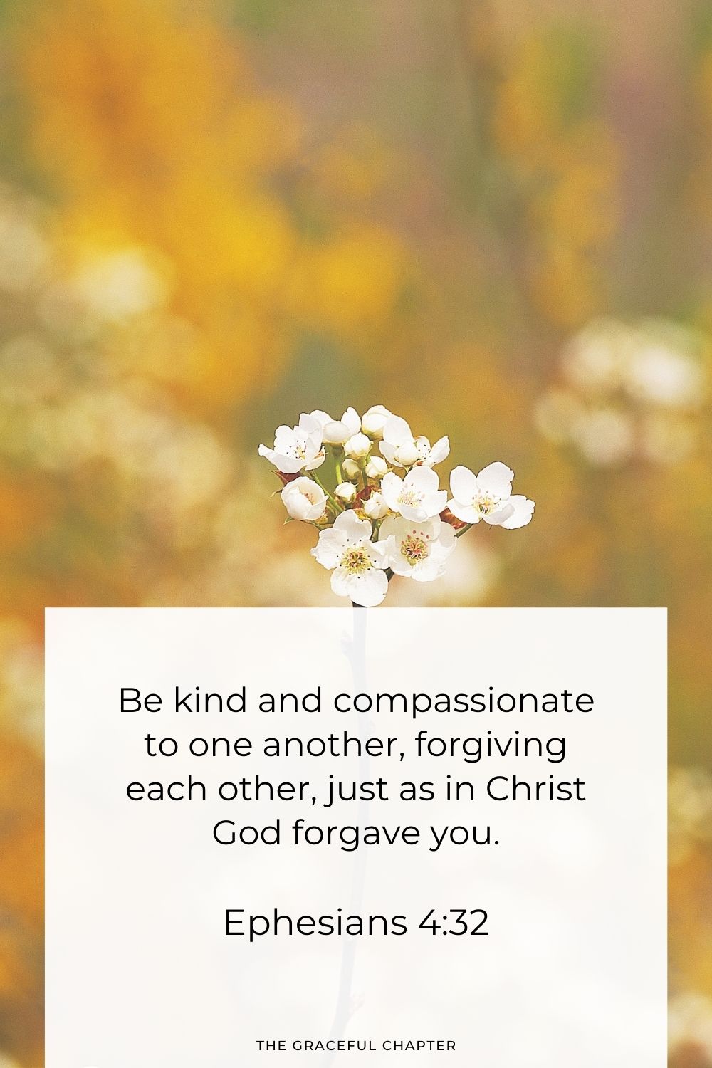 bible verse about kindness