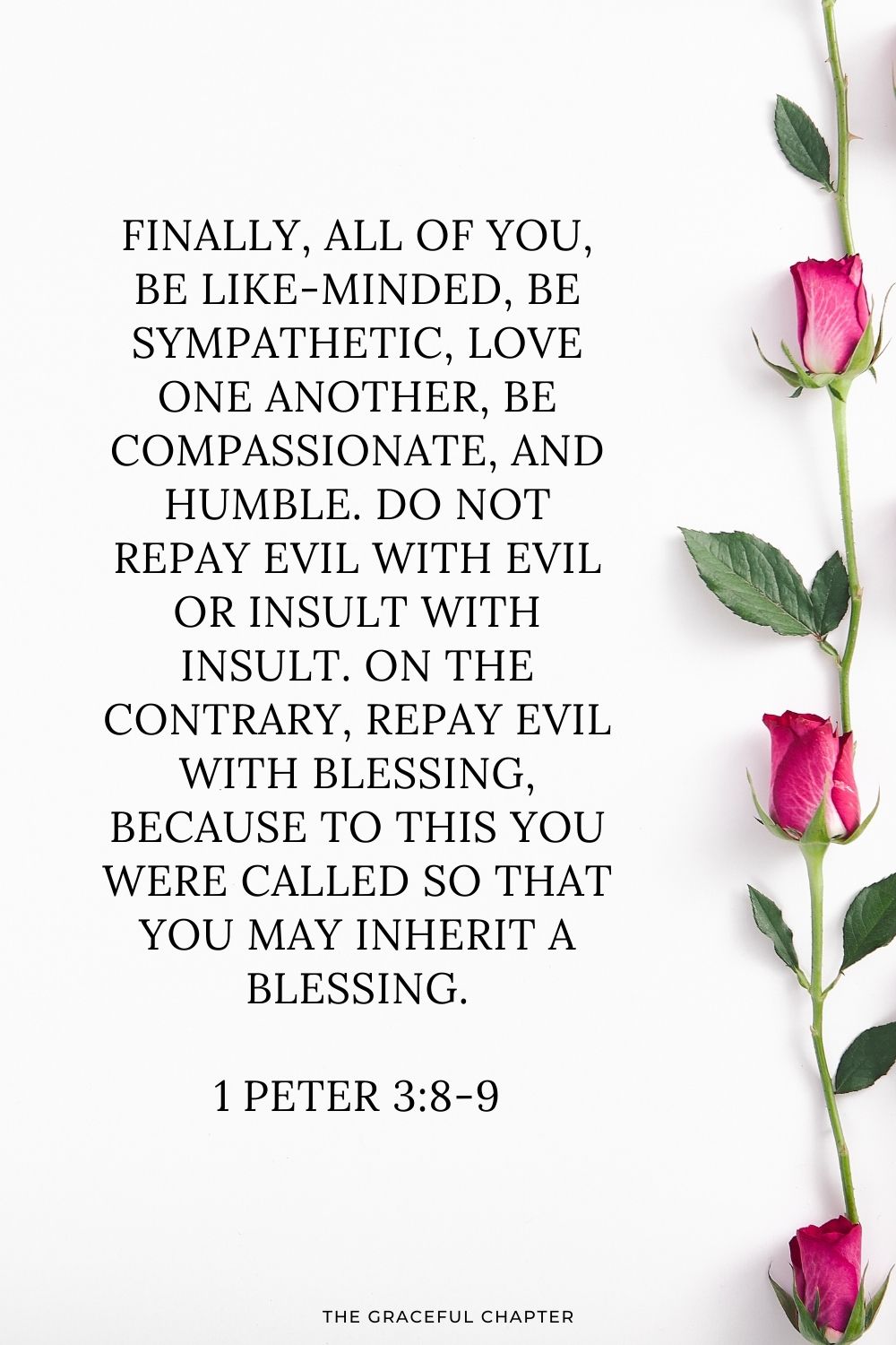 Finally, all of you, be like-minded, be sympathetic, love one another, be compassionate and humble. Do not repay evil with evil or insult with insult. On the contrary, repay evil with blessing, because to this you were called so that you may inherit a blessing. 1 Peter 3:8-9
