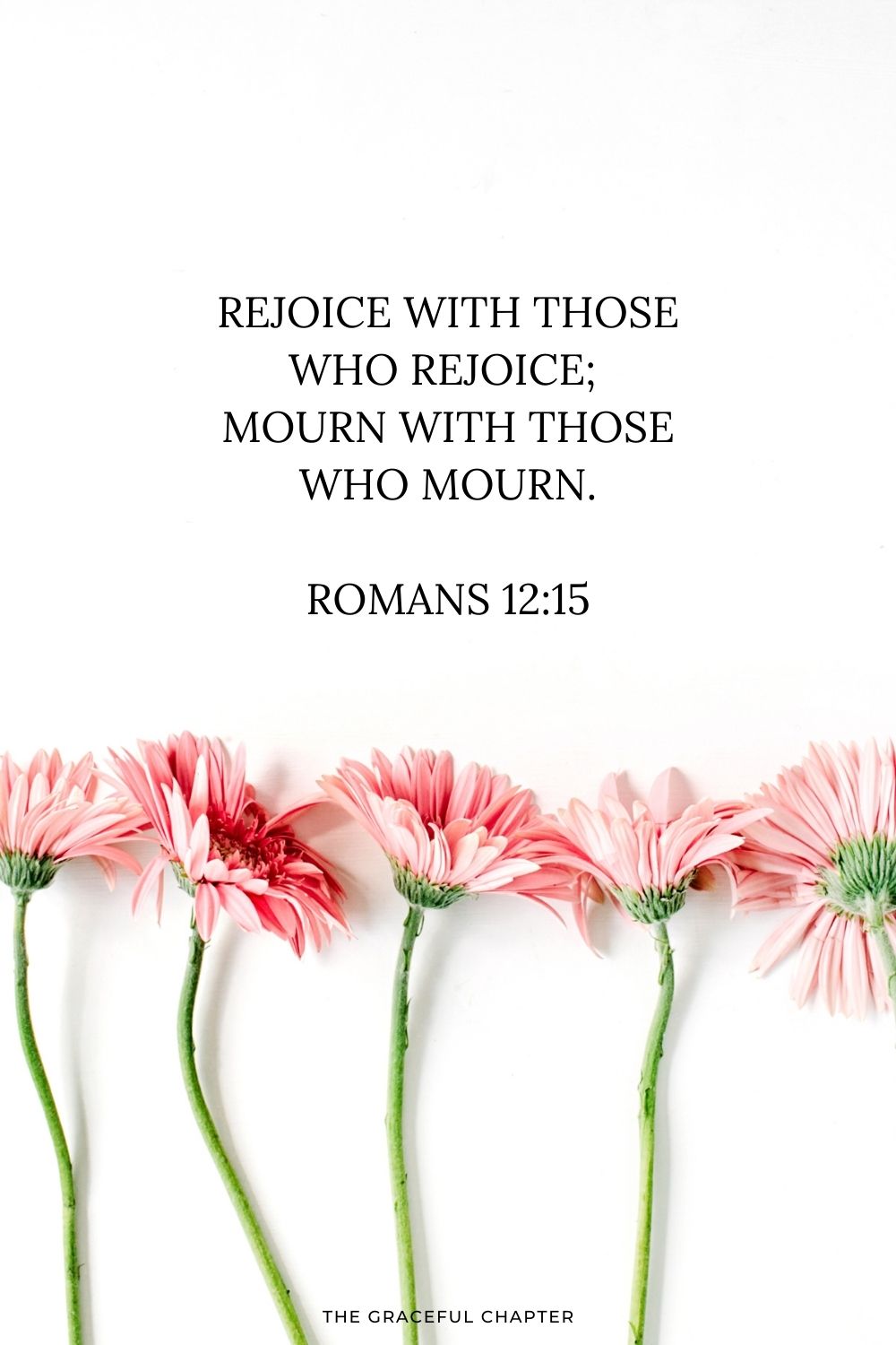 Rejoice with those who rejoice; mourn with those who mourn. Romans 12:15