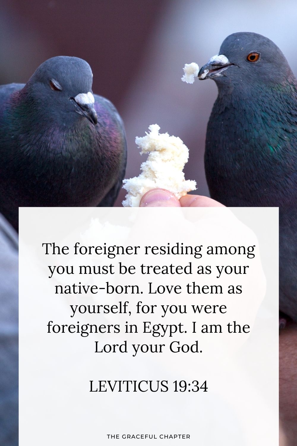 The foreigner residing among you must be treated as your native-born. Love them as yourself, for you were foreigners in Egypt. I am the Lord your God. Leviticus 19:34