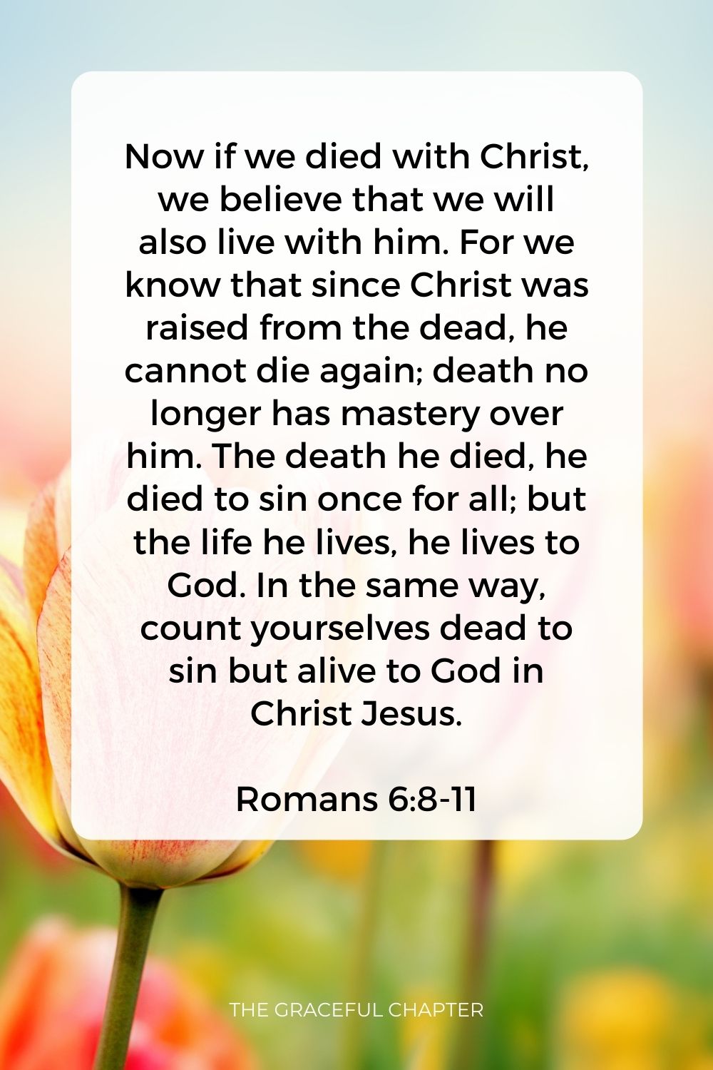 easter bible verses