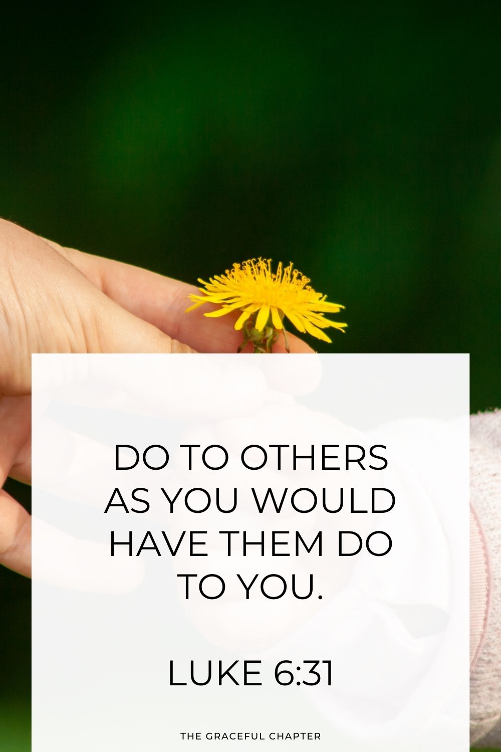 Do to others as you would have them do to you. Luke 6:31