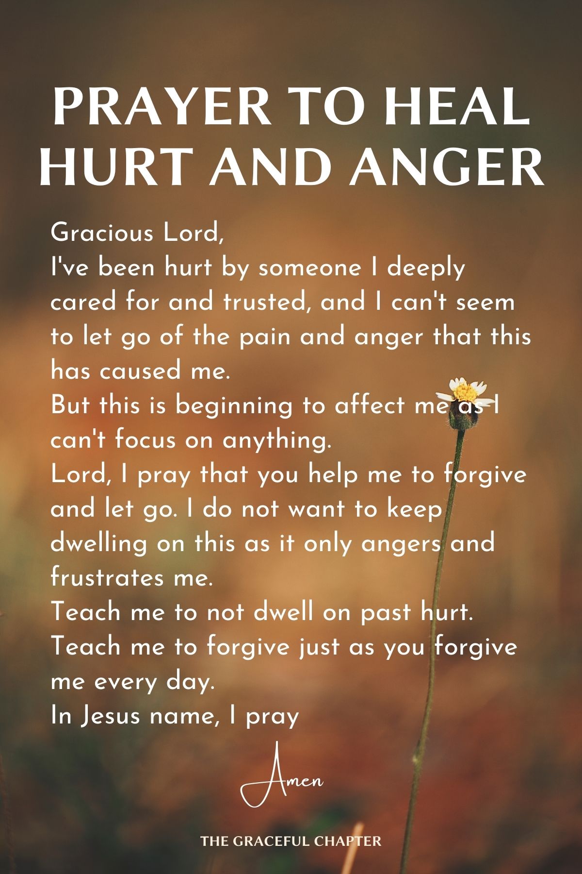 Prayer to heal hurt and anger