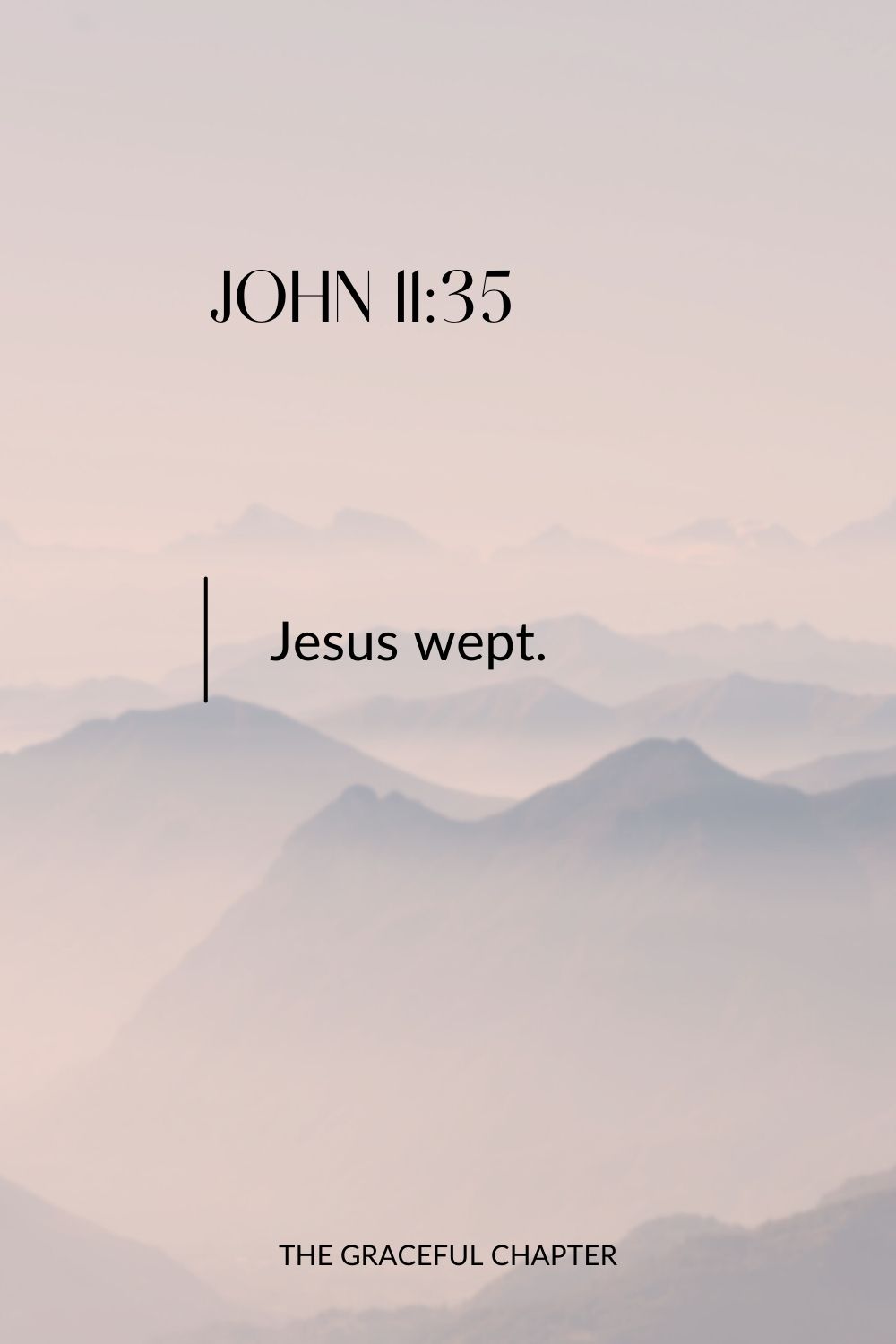 Jesus wept. John 11:35