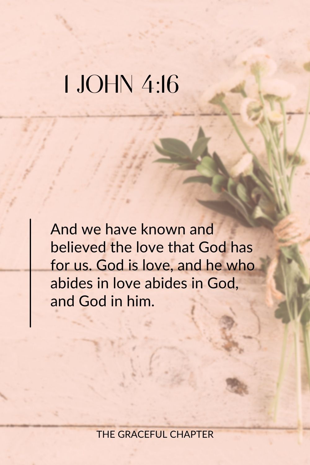 And we have known and believed the love that God has for us. God is love, and he who abides in love abides in God, and God in him. 1 John 4:16