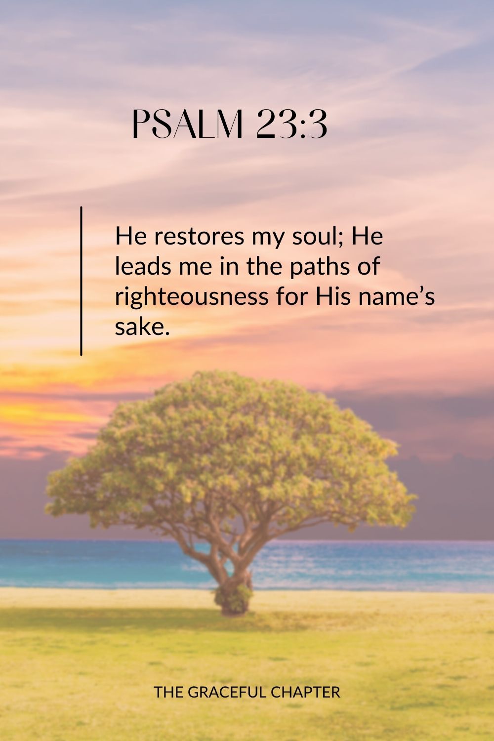 He restores my soul; He leads me in the paths of righteousness for His name’s sake. Psalm 23:3