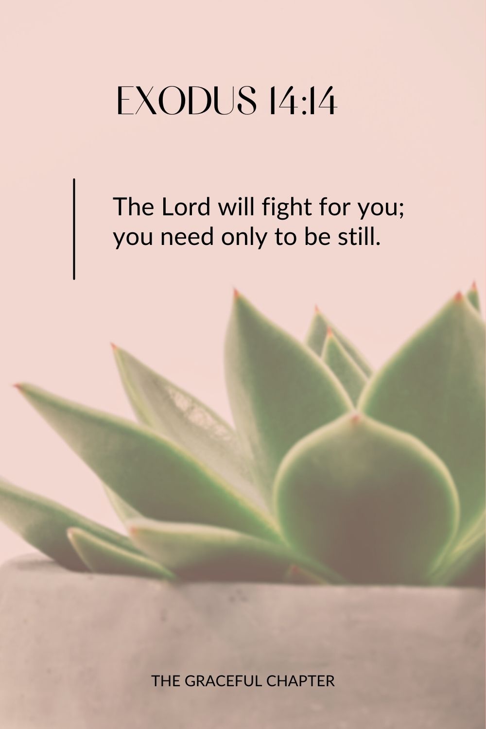 The Lord will fight for you; you need only to be still. Exodus 14:14