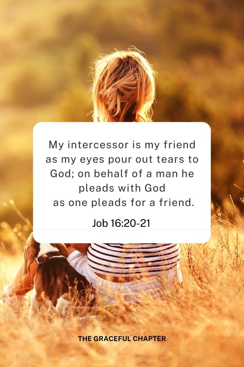 30 Bible Verses About Friendship The Graceful Chapter