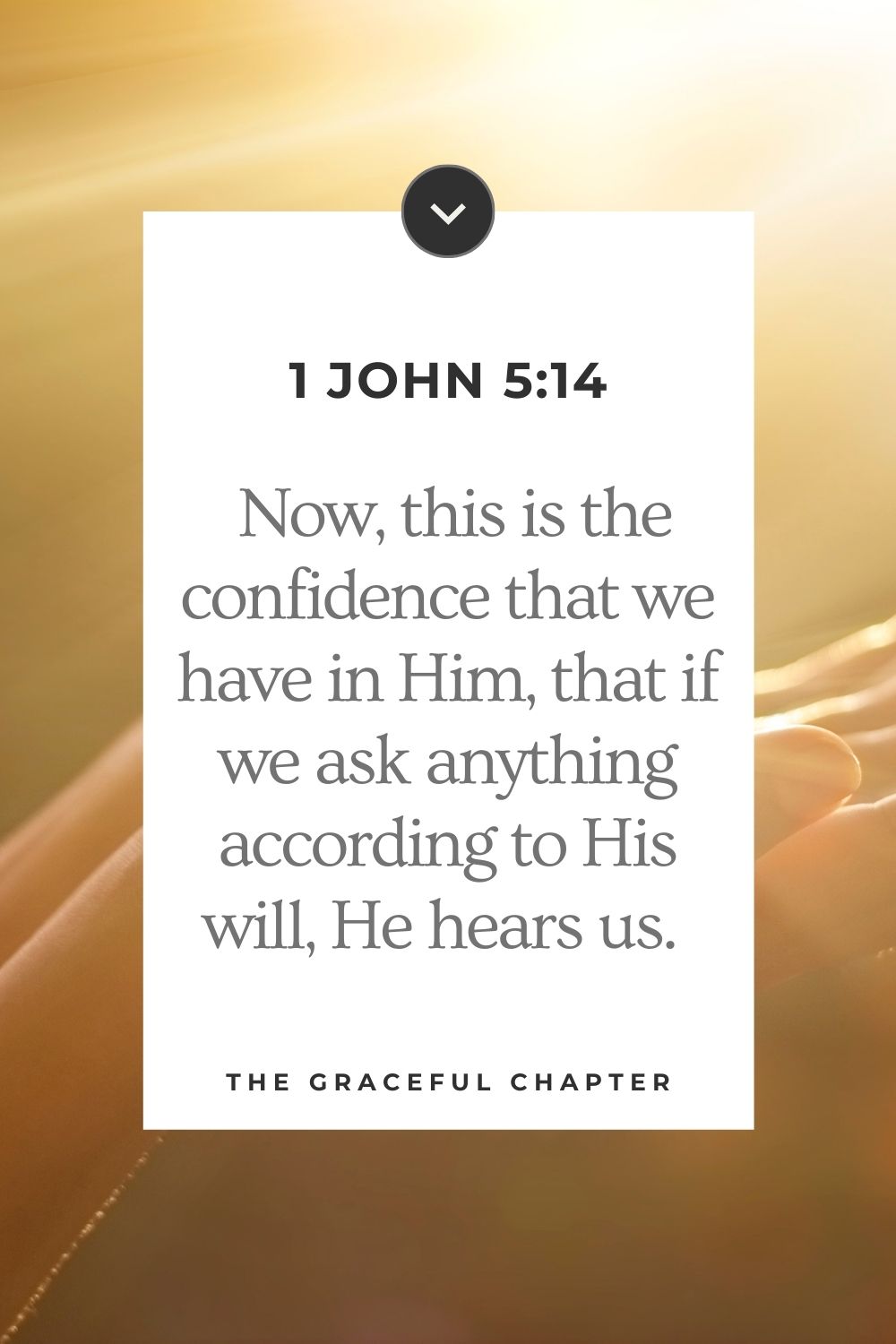  Now this is the confidence that we have in Him, that if we ask anything according to His will, He hears us. 