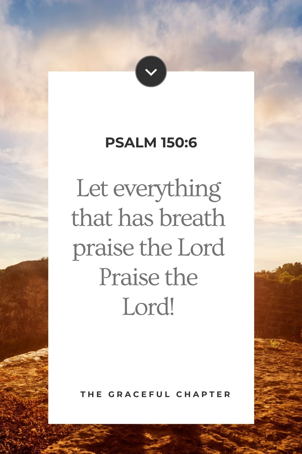 Let everything that has breath praise the Lord. Praise the Lord!