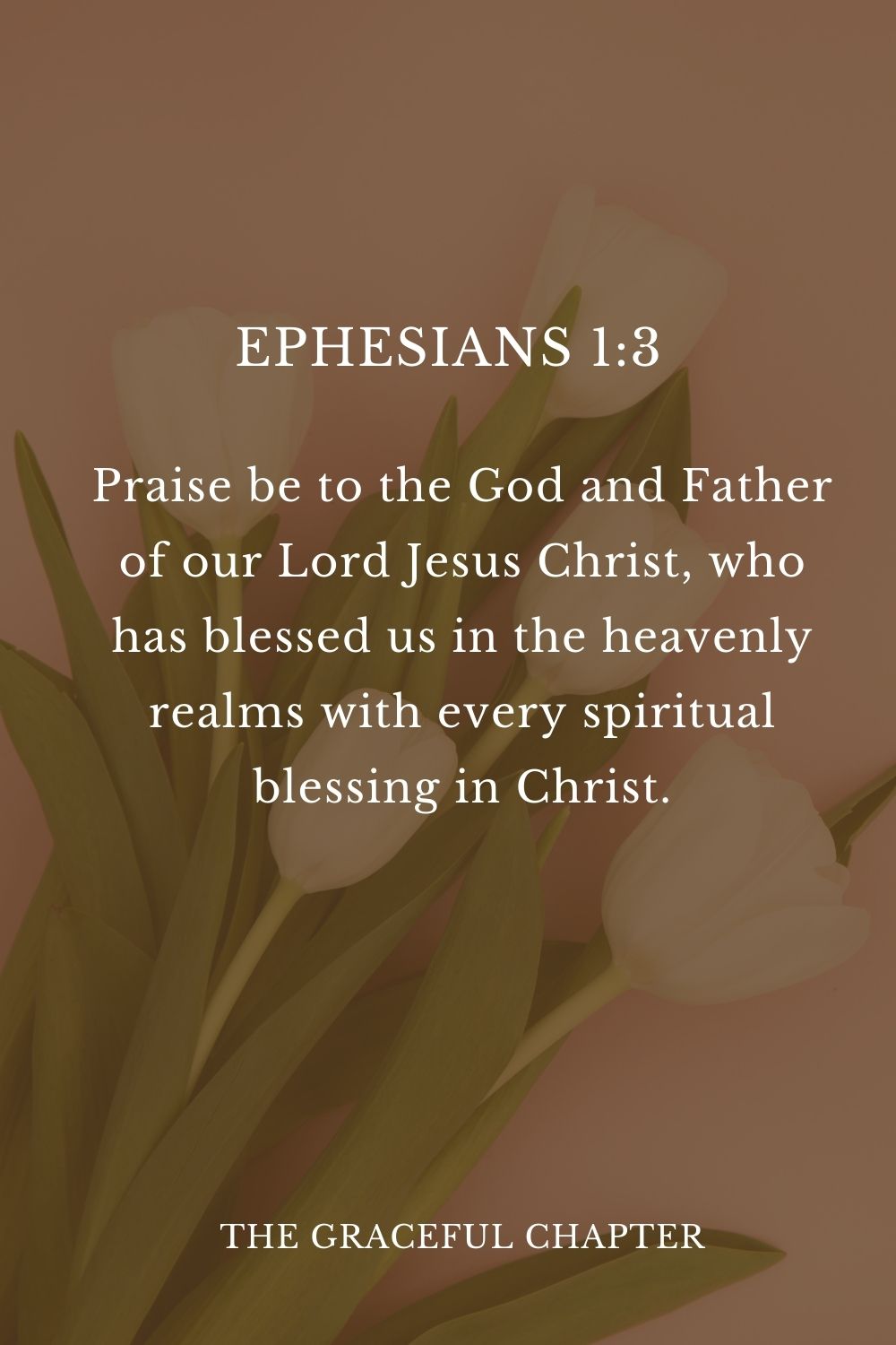 Praise be to the God and Father of our Lord Jesus Christ, who has blessed us in the heavenly realms with every spiritual blessing in Christ. Ephesians 1:3