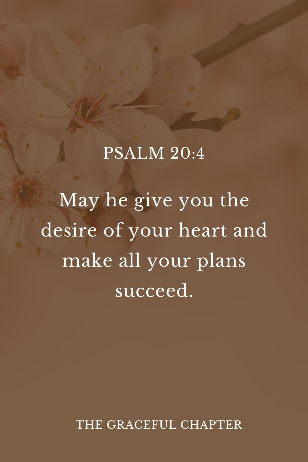 May he give you the desire of your heart and make all your plans succeed.  Psalm 20:4