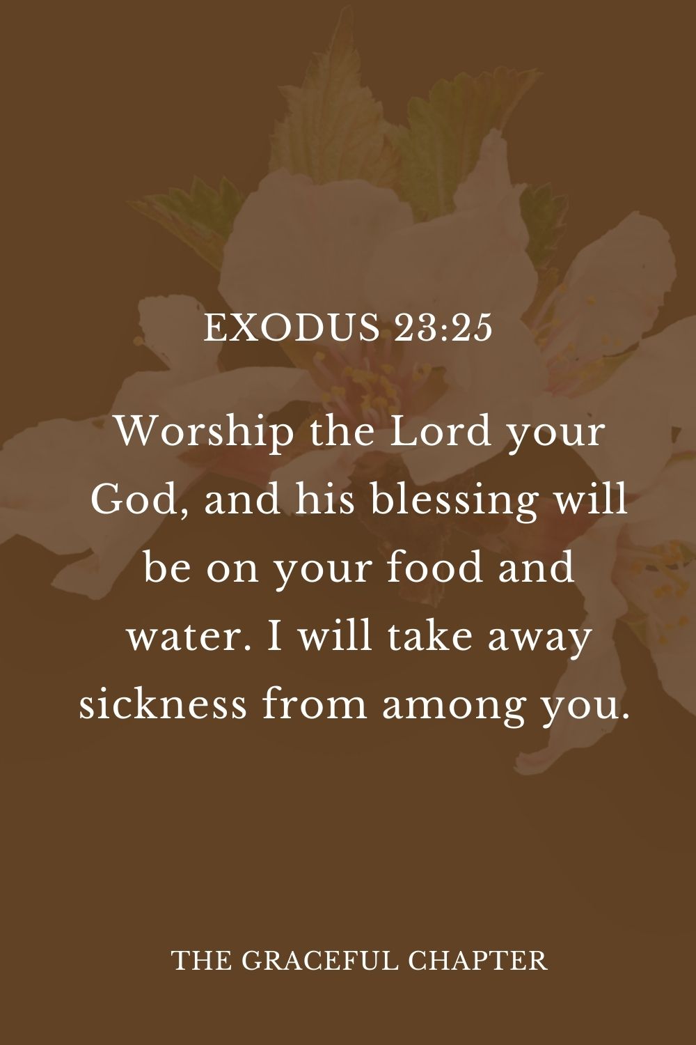 Worship the Lord your God, and his blessing will be on your food and water. I will take away sickness from among you.  Exodus 23:25