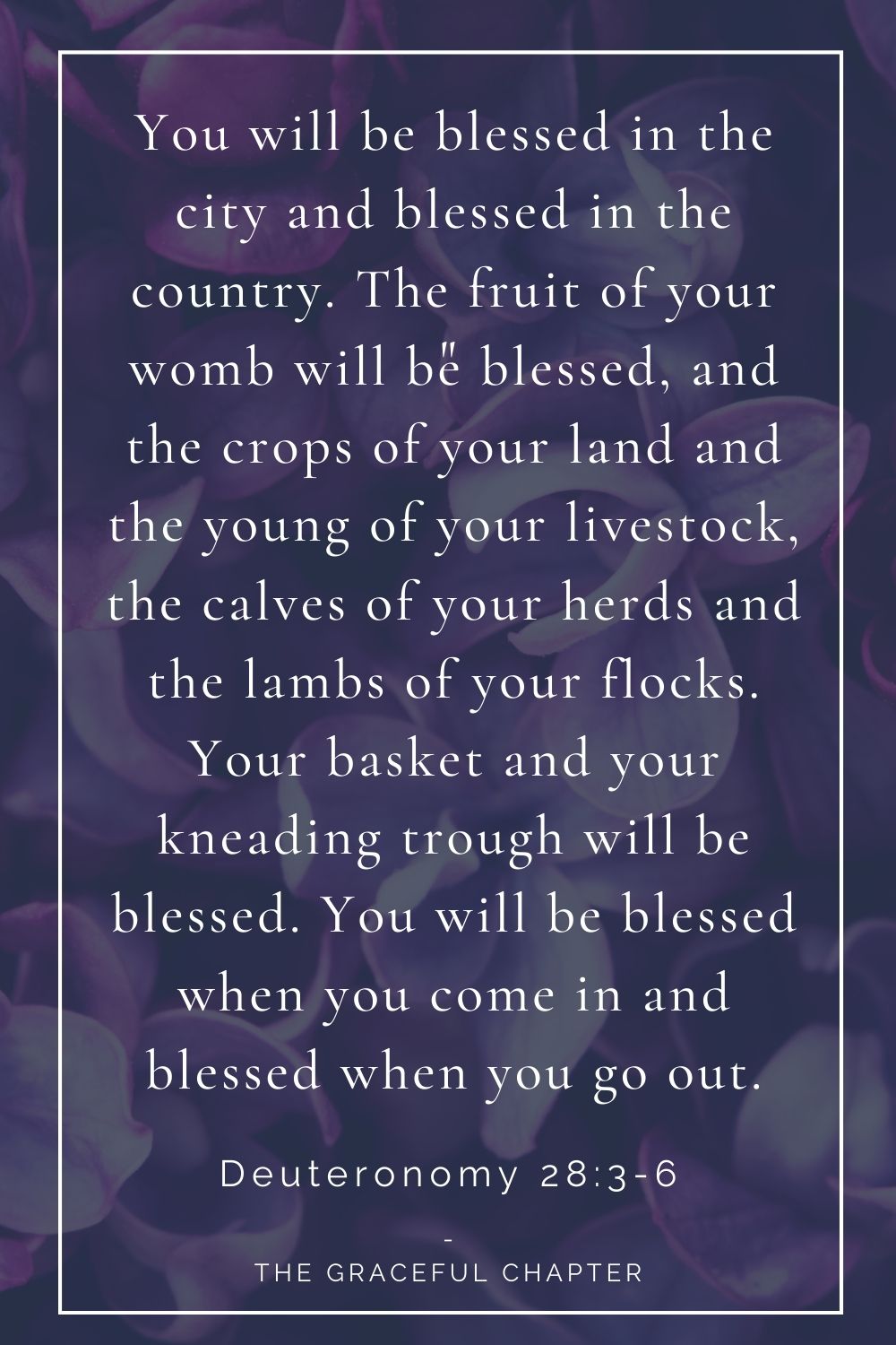 You will be blessed in the city and blessed in the country. The fruit of your womb will be blessed, and the crops of your land and the young of your livestock, the calves of your herds and the lambs of your flocks. Your basket and your kneading trough will be blessed. You will be blessed when you come in and blessed when you go out. Deuteronomy 28:3-6