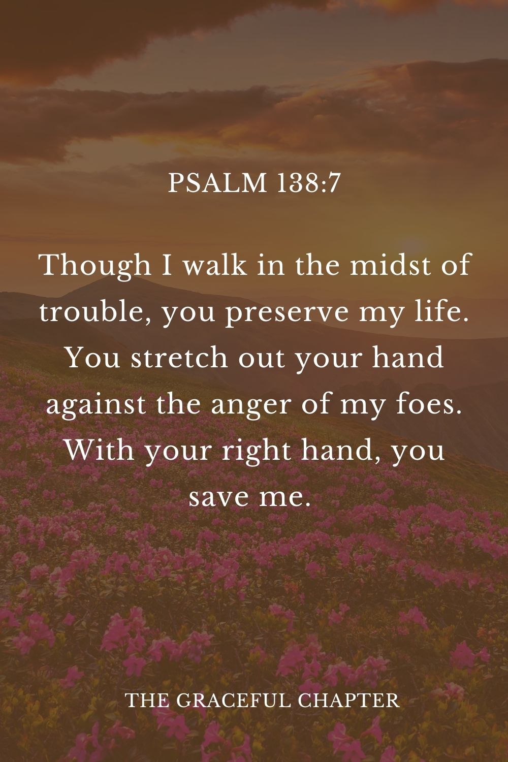 Though I walk in the midst of trouble, you preserve my life. You stretch out your hand against the anger of my foes. With your right hand, you save me.  Psalm 138:7