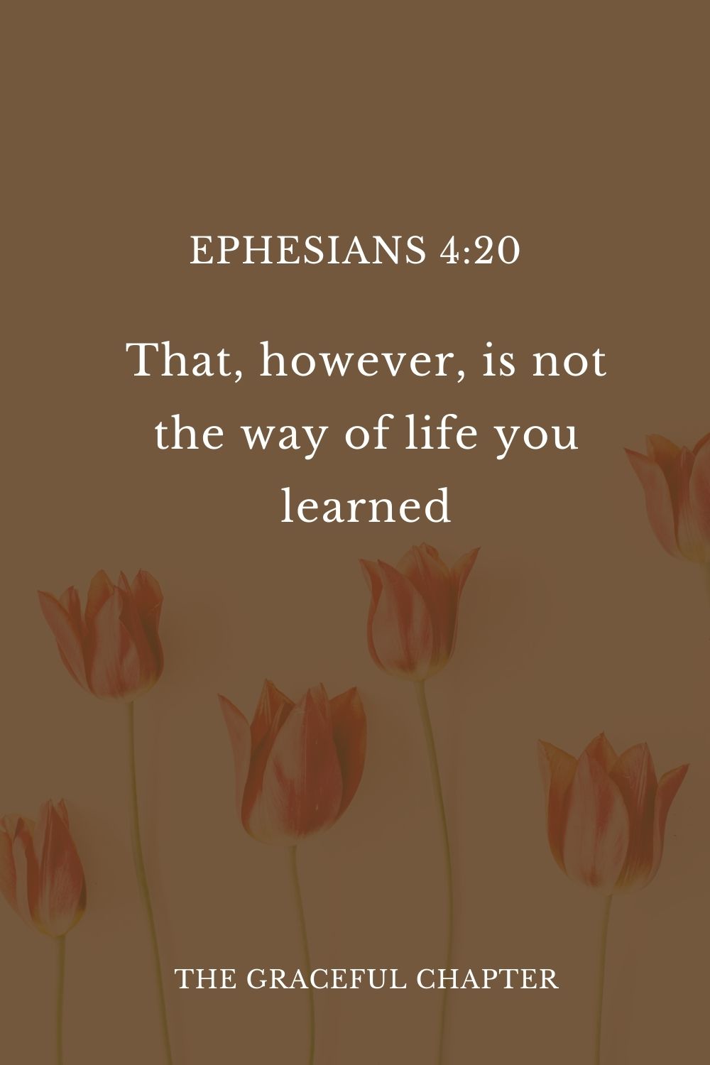 20 That, however, is not the way of life you learned Ephesians 4:20