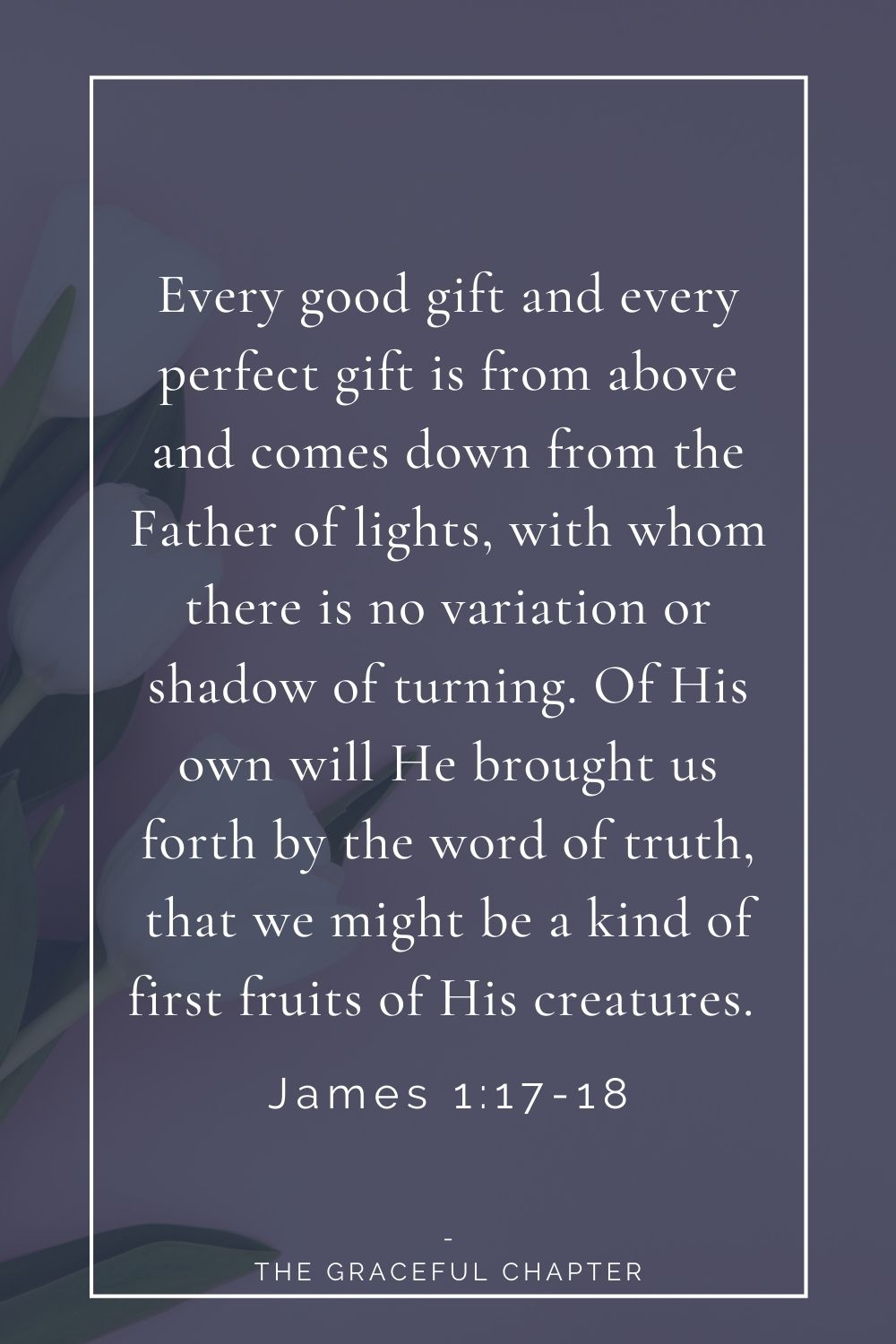 Every good gift and every perfect gift is from above and comes down from the Father of lights, with whom there is no variation or shadow of turning. Of His own will He brought us forth by the word of truth, that we might be a kind of first fruits of His creatures.  James 1:17-18